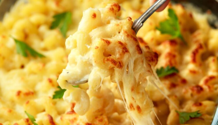 macarrão cremoso de uma panela só