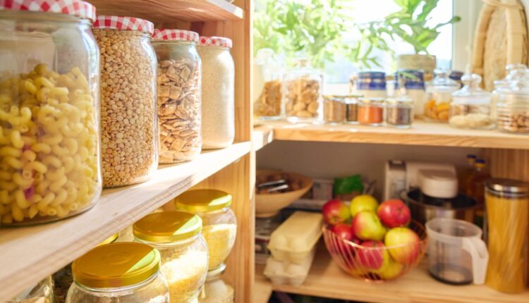 baratinhas no armário da cozinha