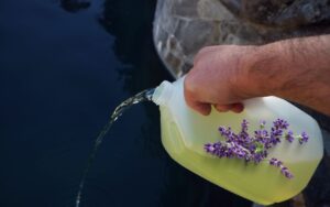 Cloro gel caseiro: escolha o perfume que mais te agrada