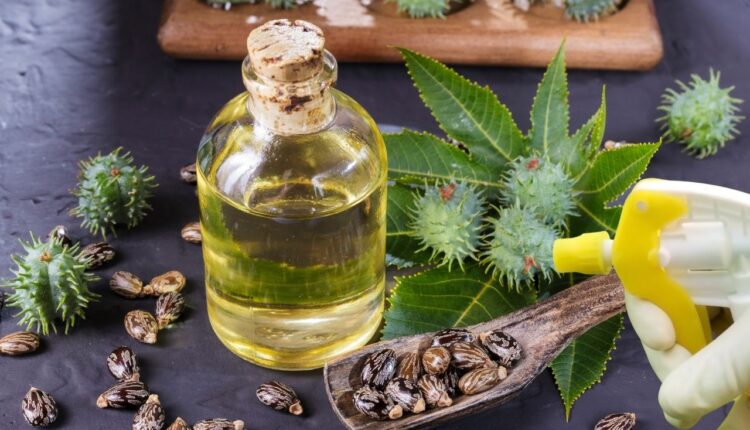 inseticida caseiro orgânico