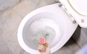 Saiba como fazer pastilhas para vaso sanitário com apenas 2 ingredientes