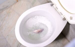 Limpe o vaso sanitário enquanto dorme: apenas 1 ingredientes que limpa profundamente