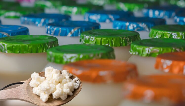 Yakult caseiro de kefir