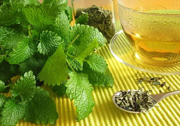 Como Preparar o Chá de Erva-Cidreira: Passo a Passo para uma Bebida Saudável Folhas frescas de erva-cidreira ao lado de chá preparado e folhas secas para infusão