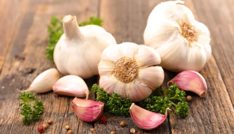 Cabeças de alho frescas com dentes soltos e folhas de salsa sobre uma superfície de madeira.